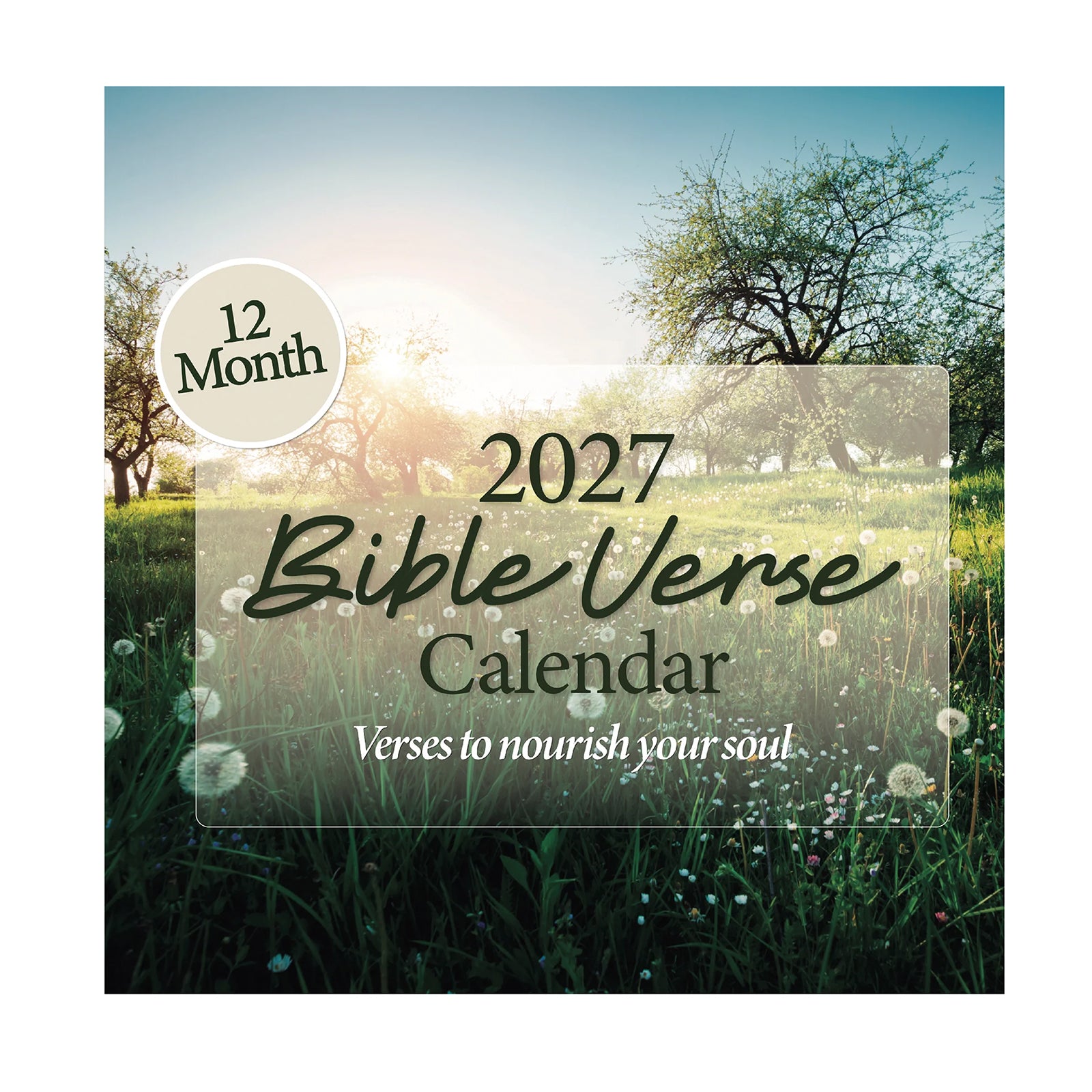 Brighten your space with the 2027 Religious Wall Calendar from HannahFaithstore, featuring a cover adorned with a sunlit field, trees, and dandelions. This uplifting wall calendar displays the phrase: "12 Month, Verses to nourish your soul," making it an ideal faith-based gift for any season.